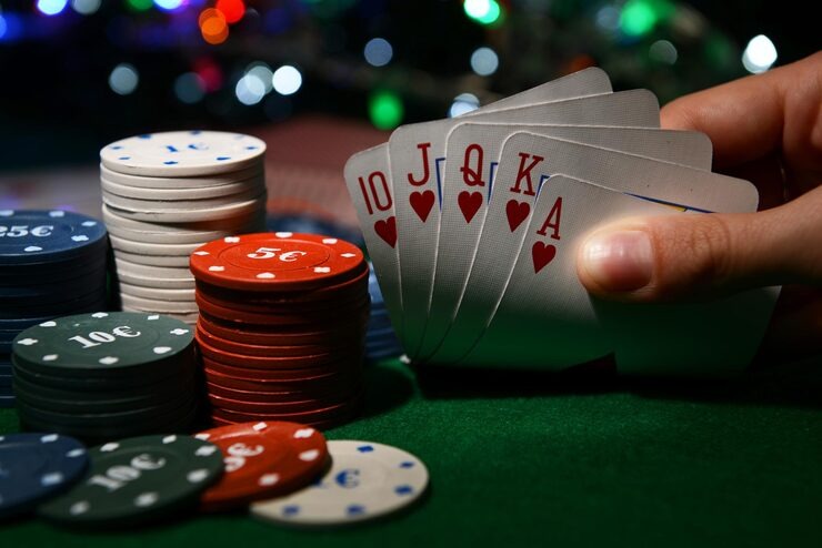 tigelon football betting game information interface